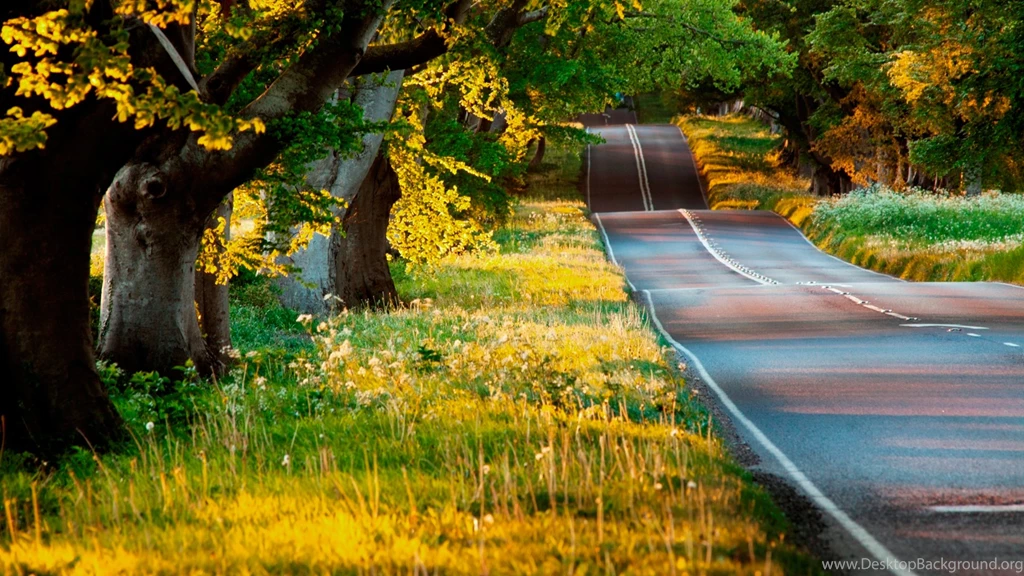 Road Wallpaper Backgrounds
