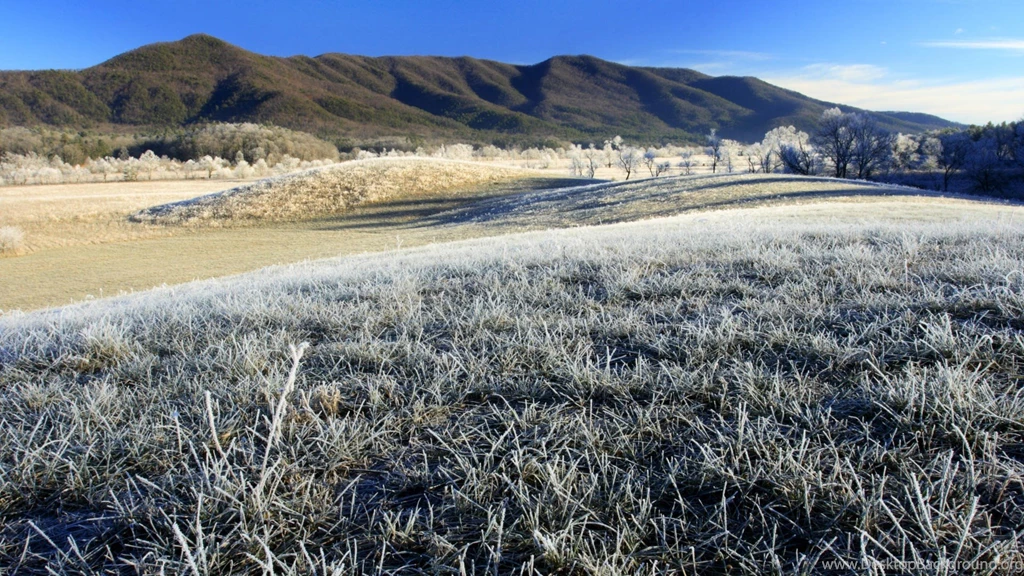 Tennessee Wallpapers