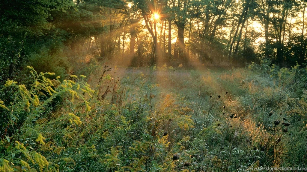 Sunrise Tennessee Wallpapers