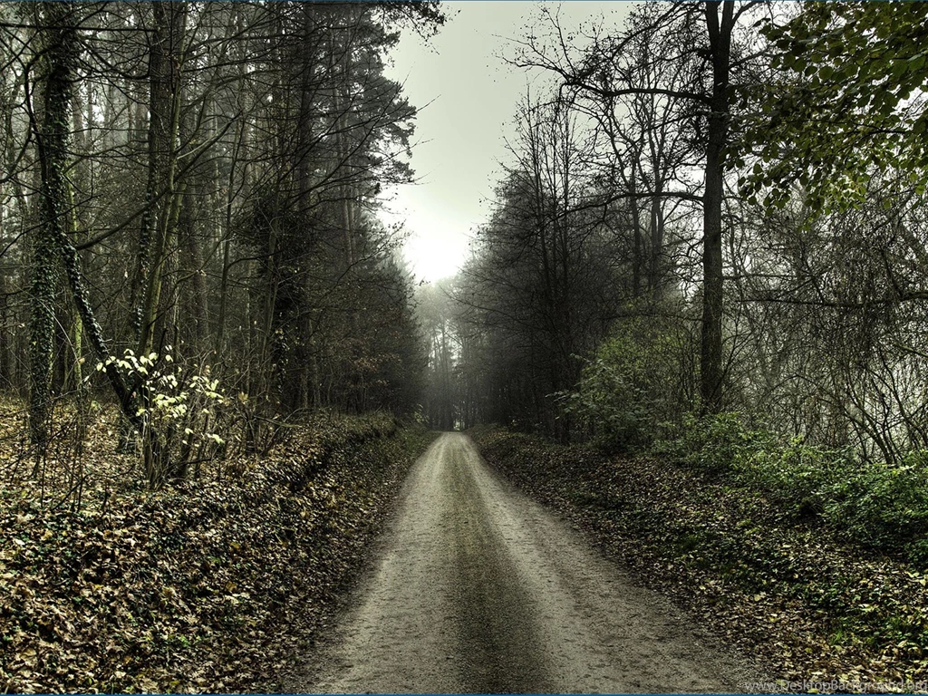 Haunted Forest Scary Road   HD Wallpapers Widescreen   1920x1440