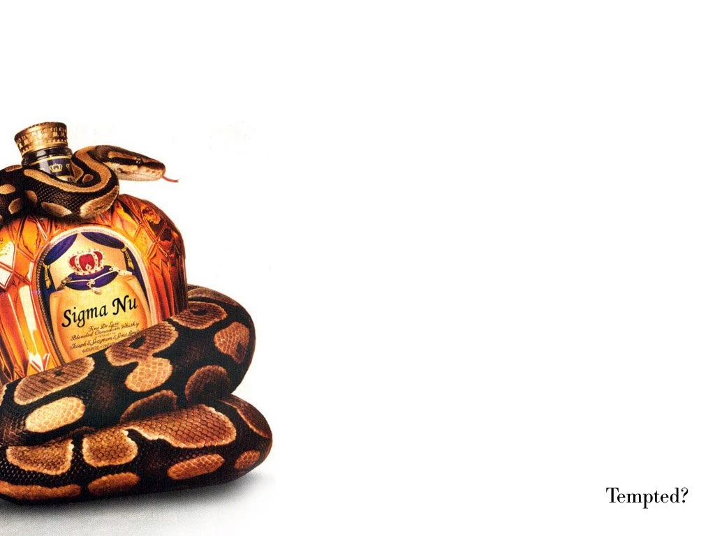 Sigma Nu Wallpapers Wallpapers Zone