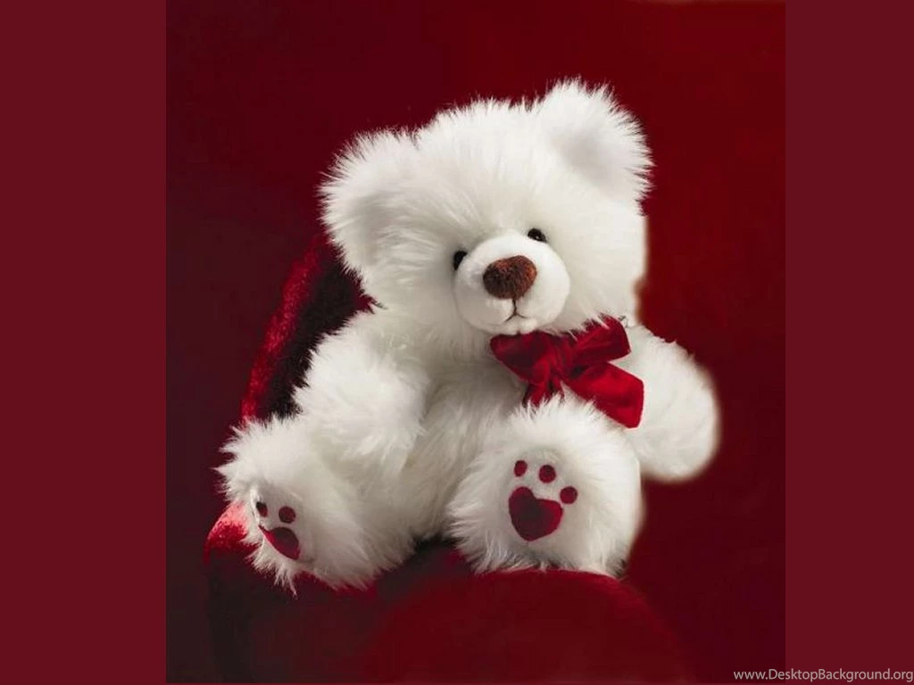 Get Teddy Bear Wallpapers HD