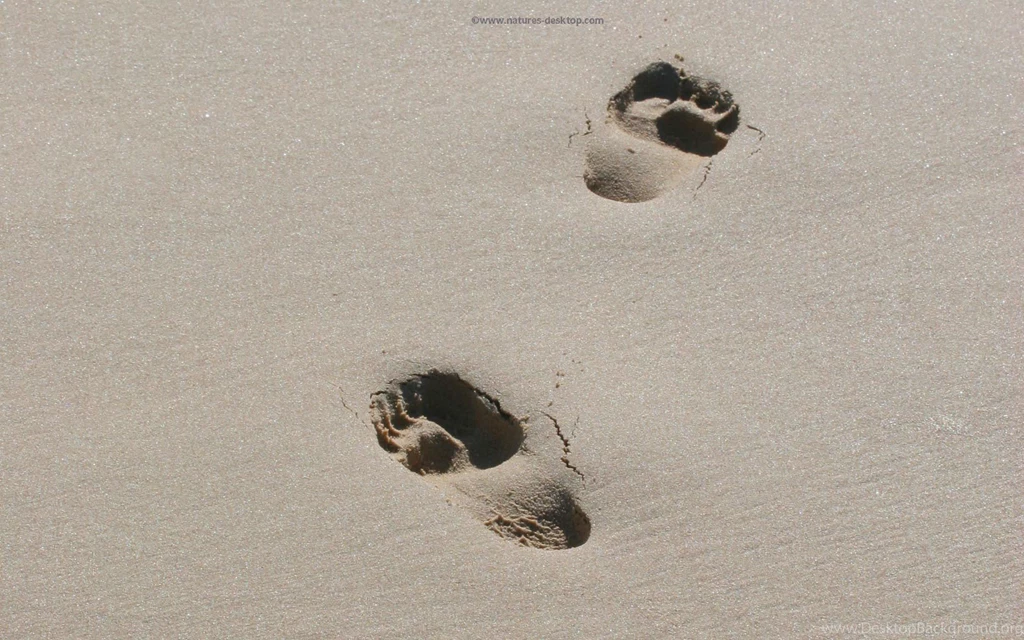 Wallpapers Feet Rex Footprint Template Footprints In The Sand Poem ...