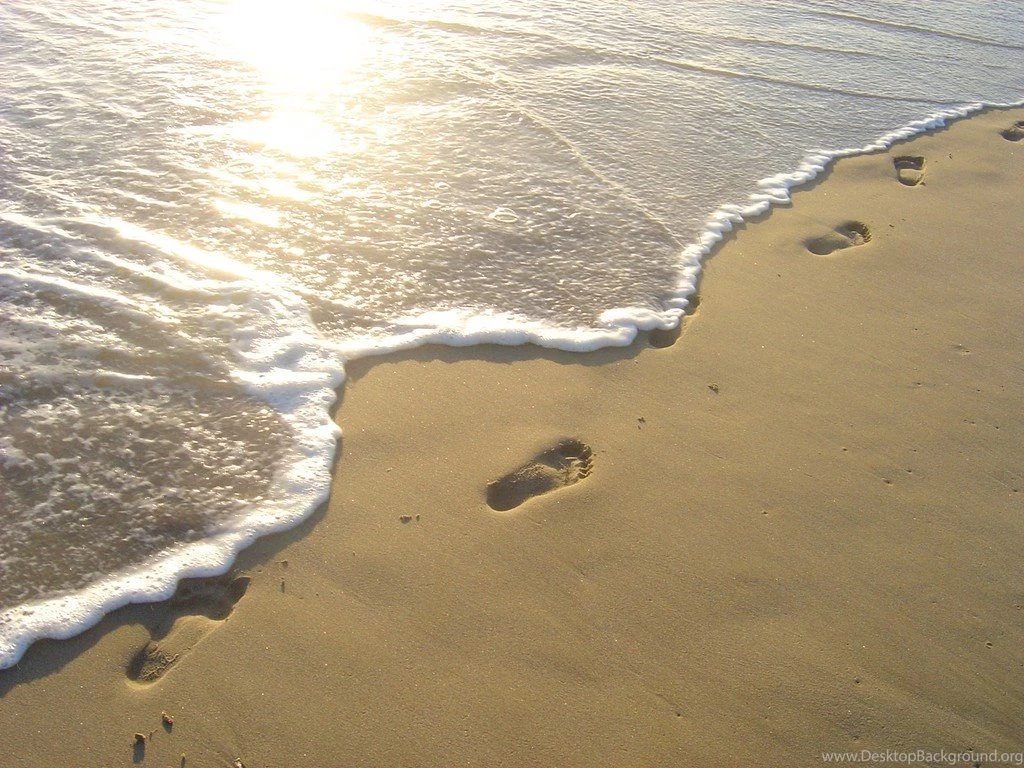 Footprints On The Beach Quotes