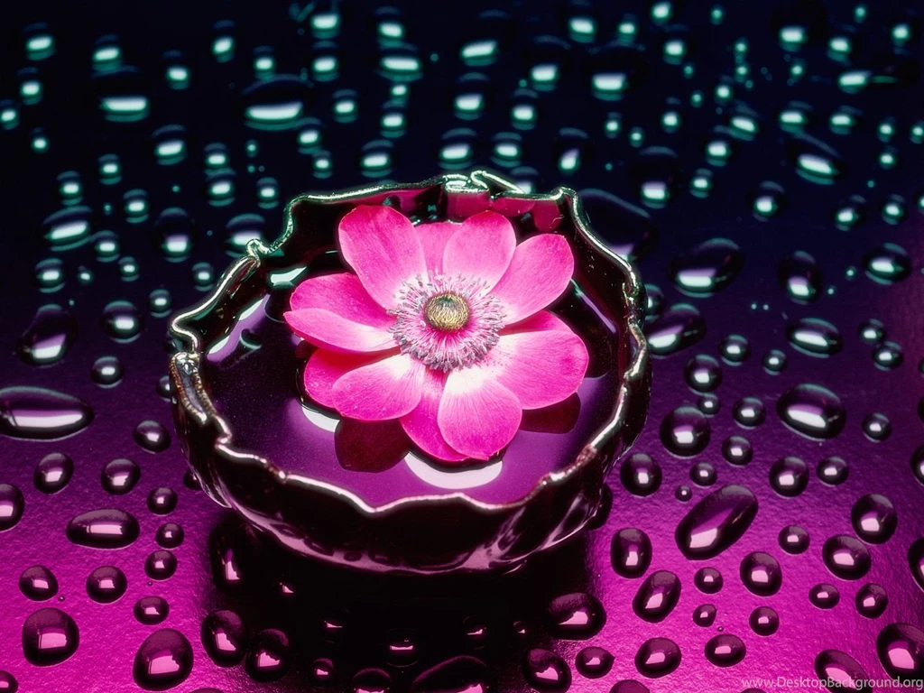 Wallpapers Flowers New HD Wallpapers Desktop Wallpapers ...