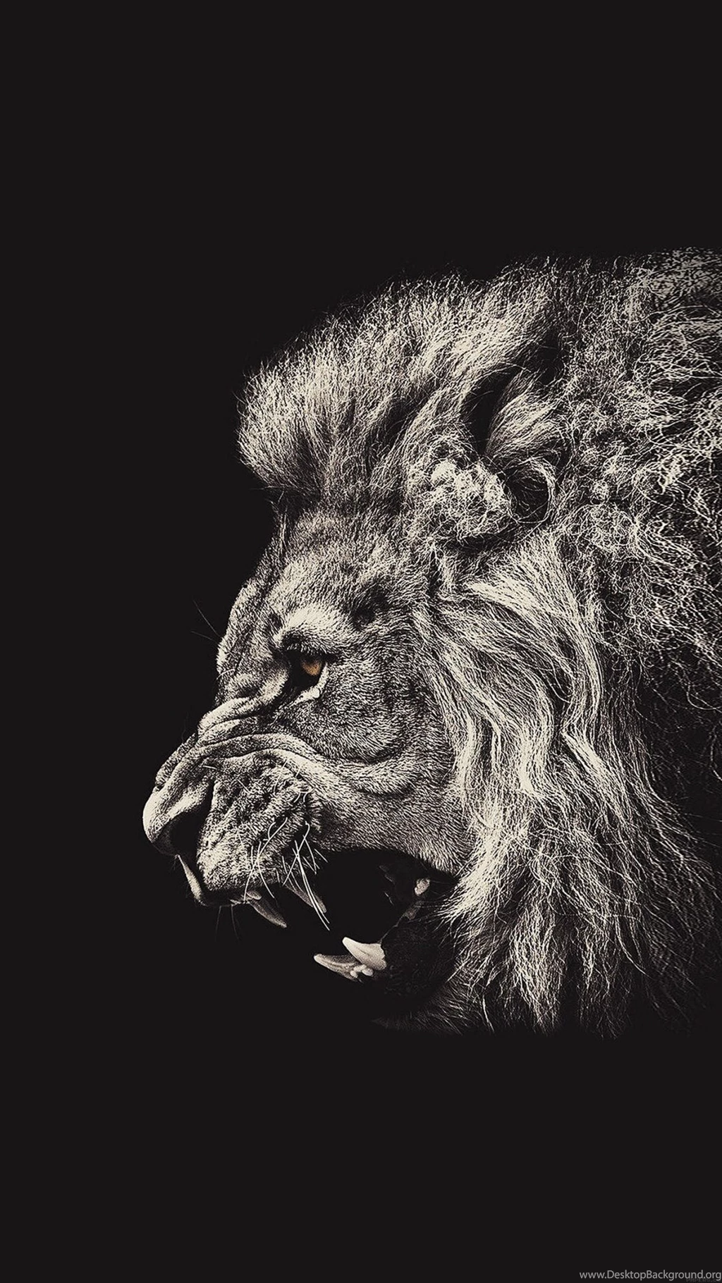 Male Lion Portrait iPhone 6 Plus HD Wallpapers / IPod Wallpapers HD ...