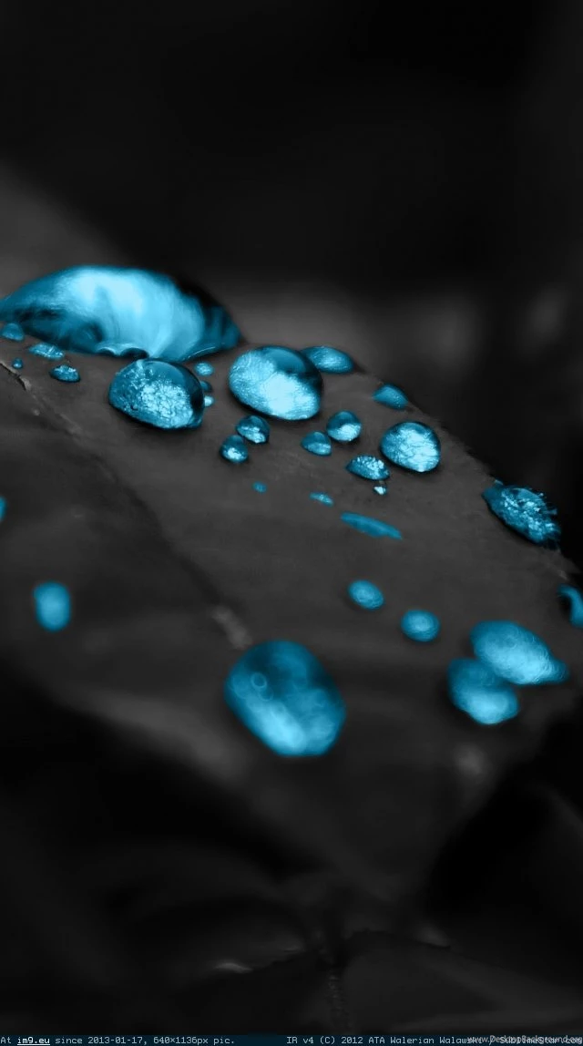 Best Hd Wallpapers For Iphone HD Widescreen Wallpapers