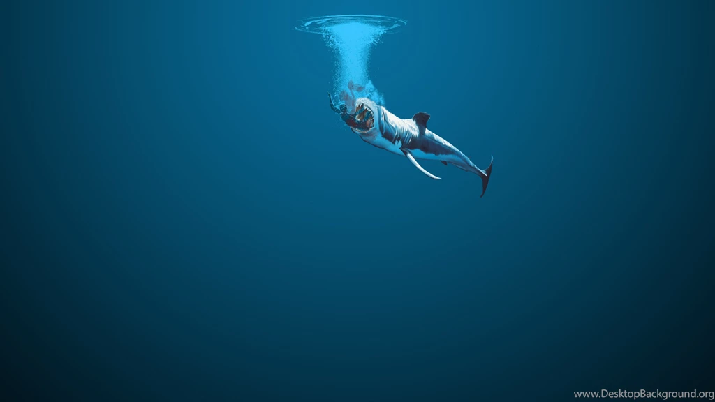 Water Minimalistic Sharks Gradient Wallpapers