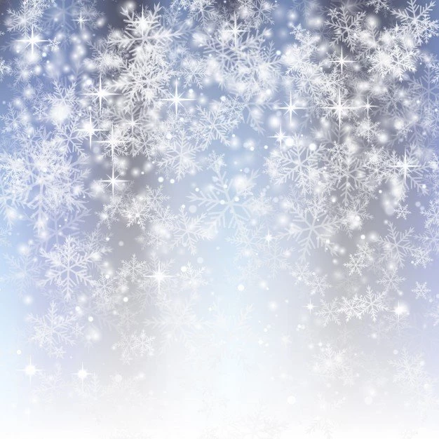 Glittering Backgrounds With Snowflakes Vector