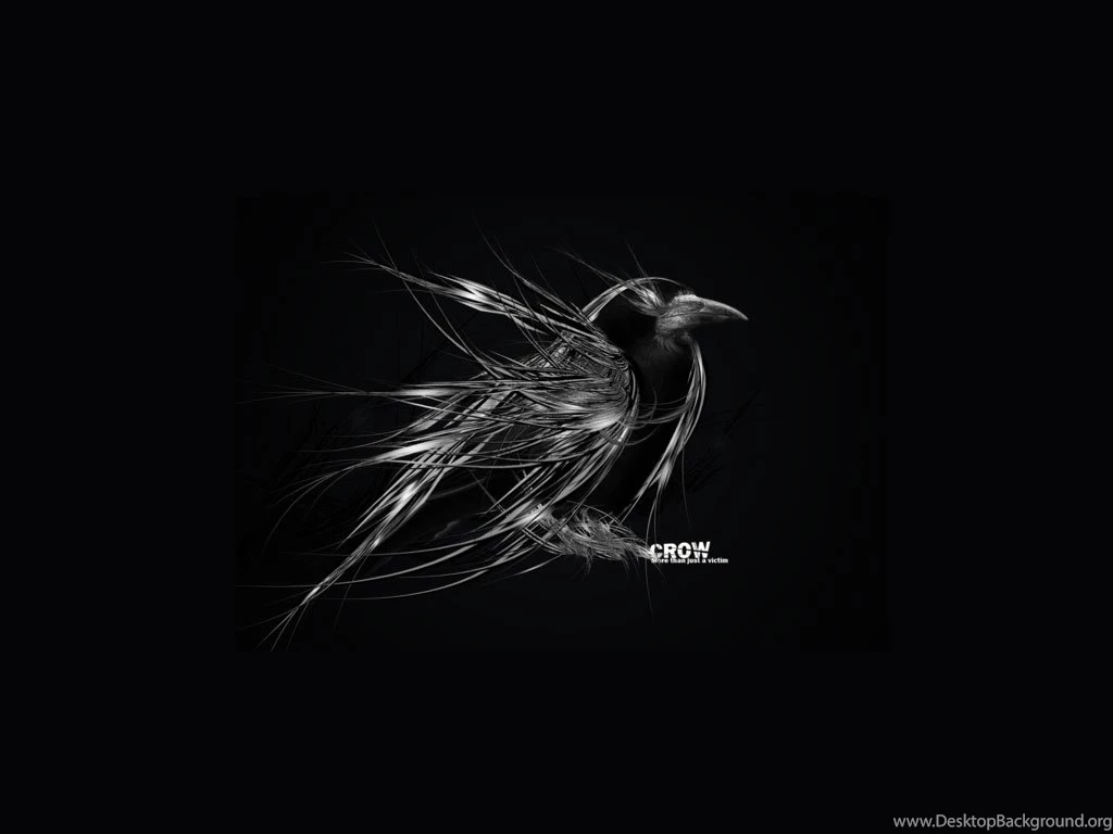 Free Wallpapers   Abstract Black Crow 1024x768 Wallpapers