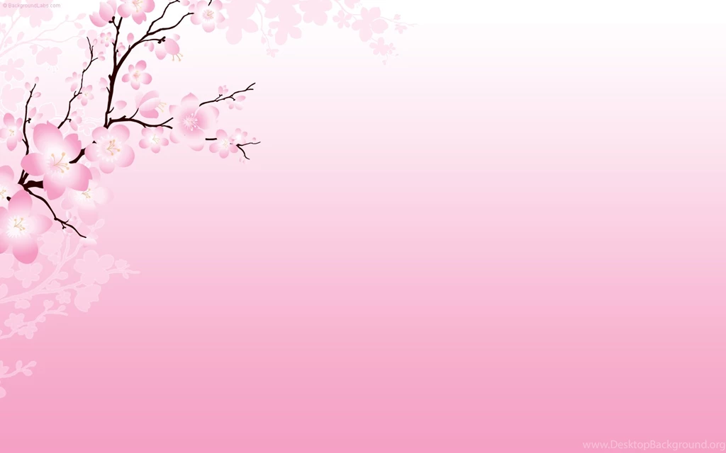 Cherry Blossoms Flowers Nature Wallpapers Desktop Backgrounds ...