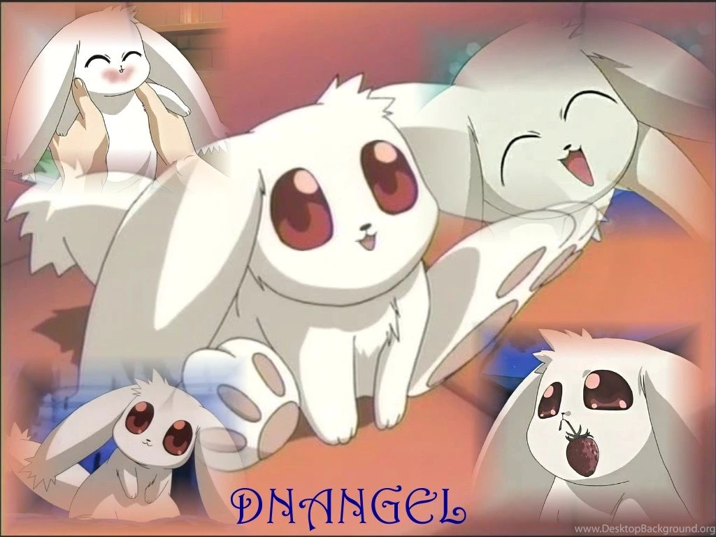 Daisuke DNAngel Wallpapers By Tsunade487 On DeviantArt