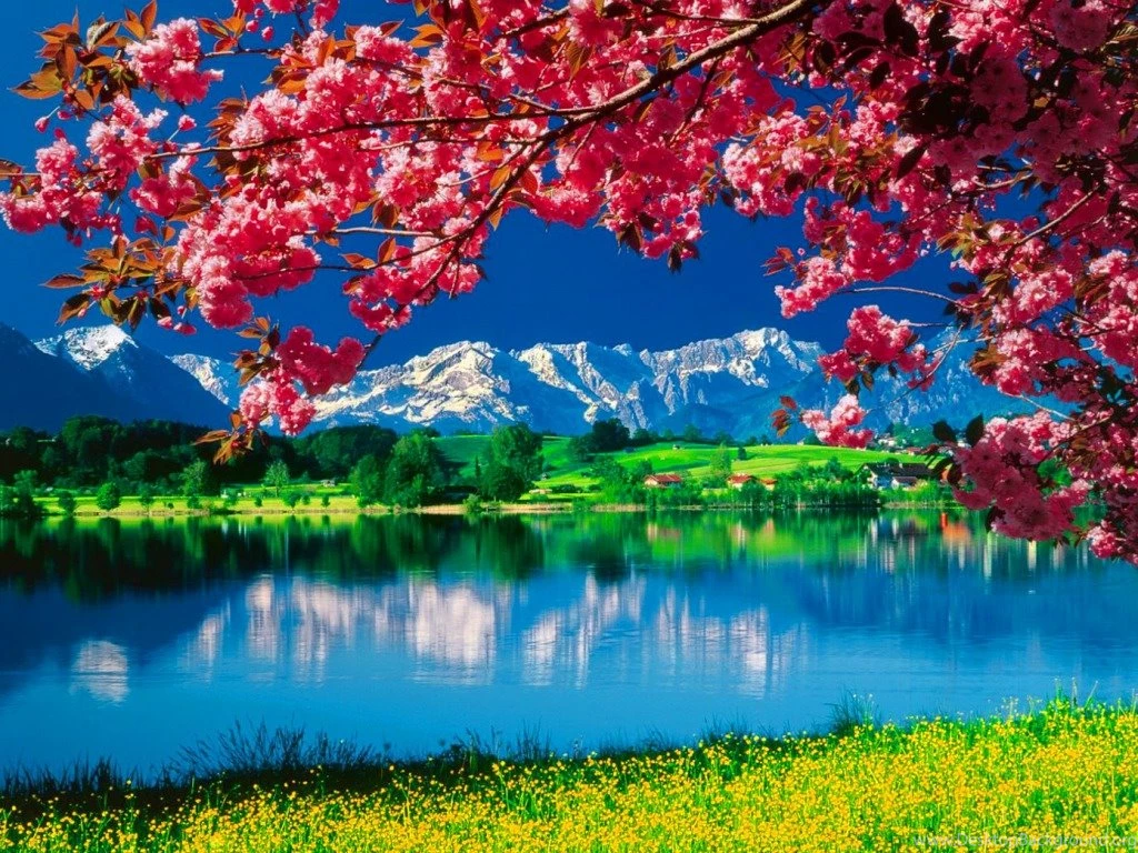 Nature Wallpapers 16 Best Wallpapers Collection