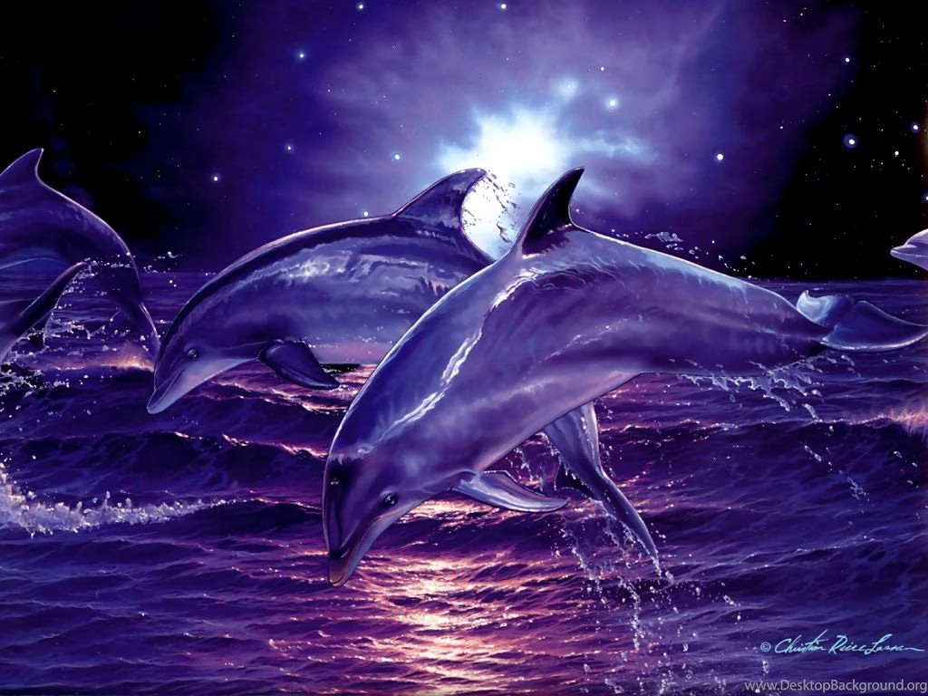 3d Digital Dolphins