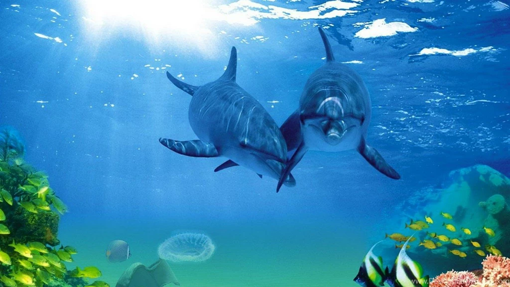 Dolphins: Dolphin Paradise Water Dolphins Porpoise Backgrounds ...