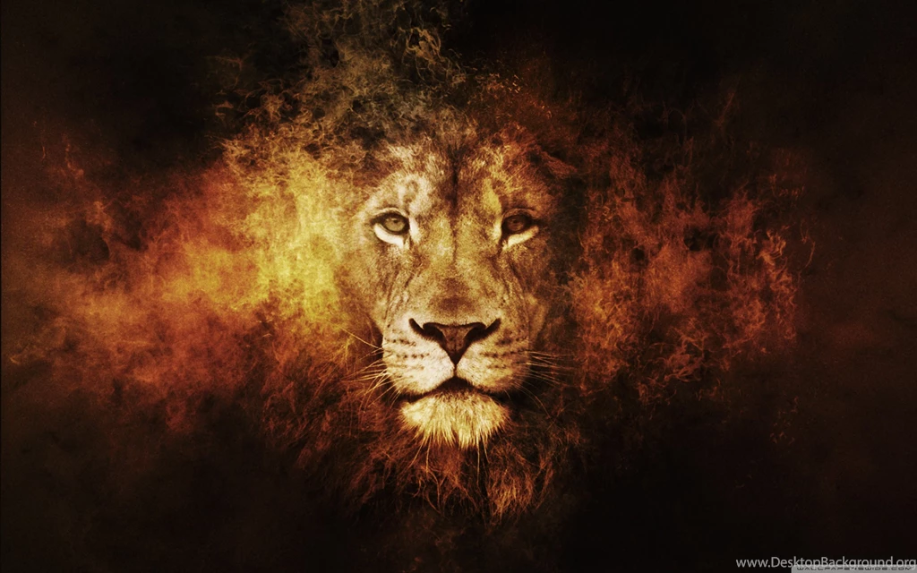 Lion HD Desktop Wallpapers : High Definition : Fullscreen : Mobile
