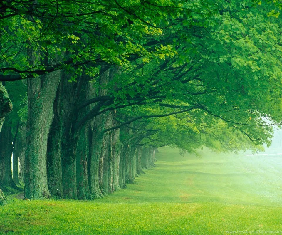 Wallpapers For Tablets Free Download,desktop Wallpapers
