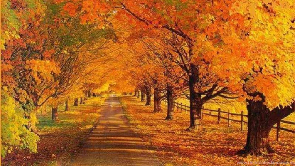 Autumn Road Desktop Backgrounds