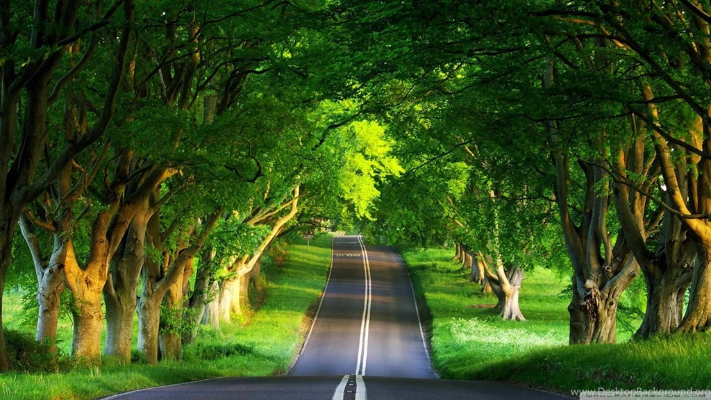 World Best Wallpapers For PC   Widescreen HD Wallpapers