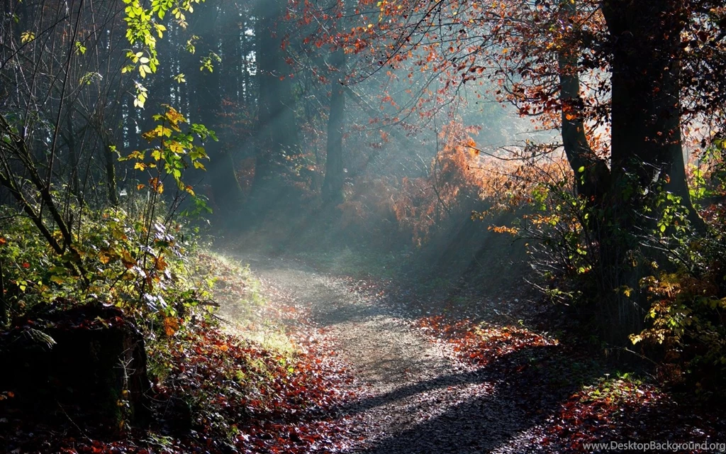 Hd nature finest wallpapers for macbook pro.jpg