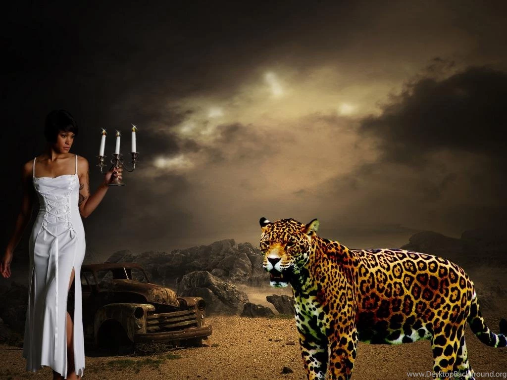 CHEETAH MY FRIEND WALLPAPER   (