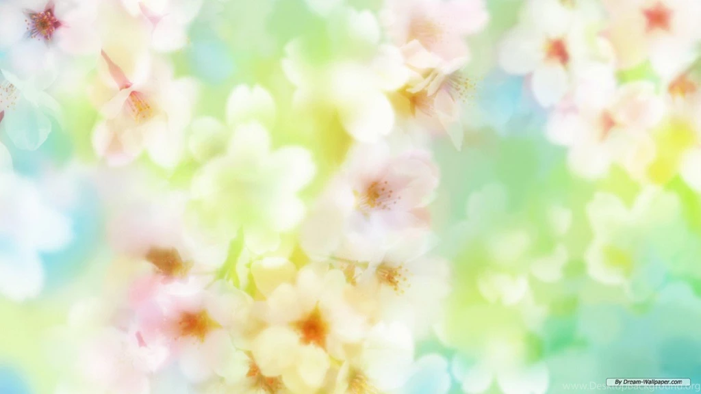Flower: Flower Wallpapers Rose
