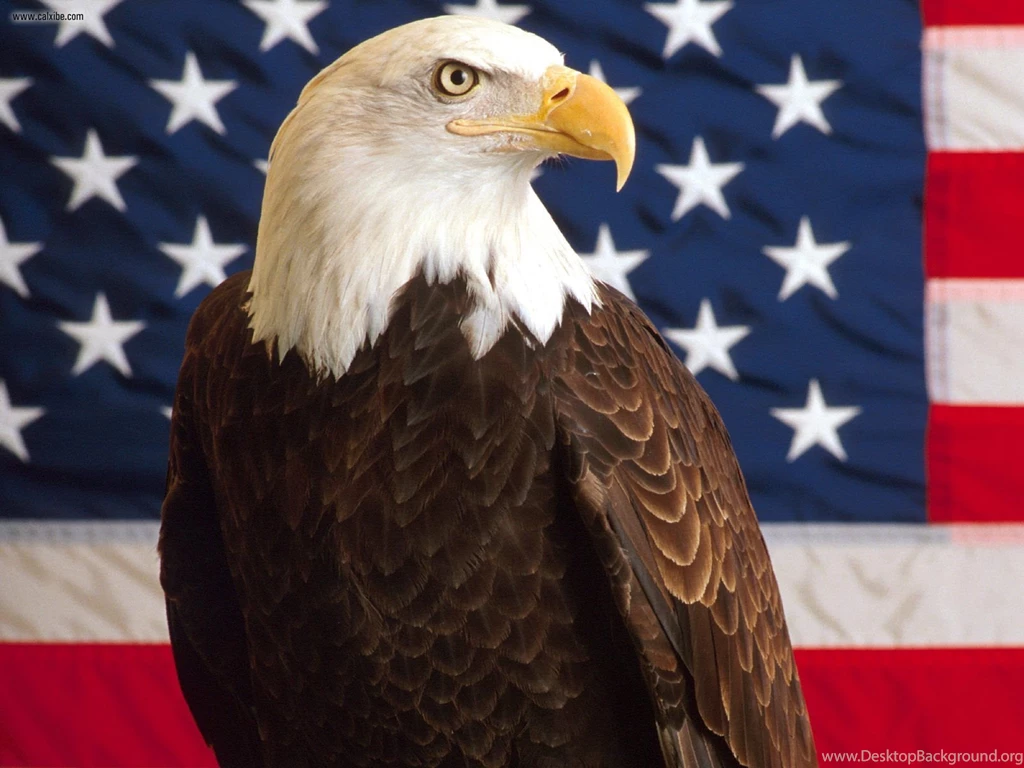 Miscellaneous: Liberty And Justice For All, Picture Nr. 21132