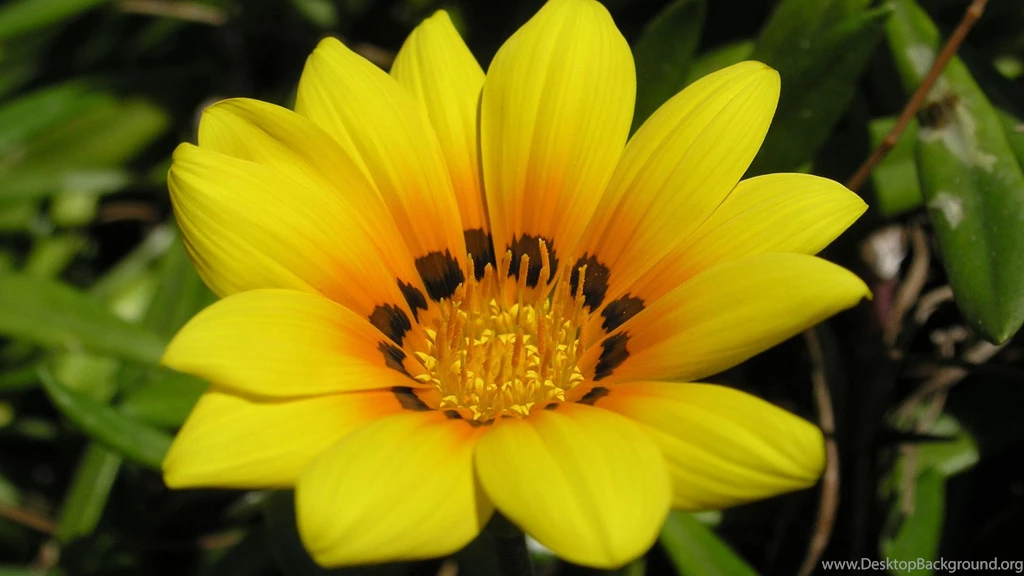 3d Hd Wallpapers Download Free