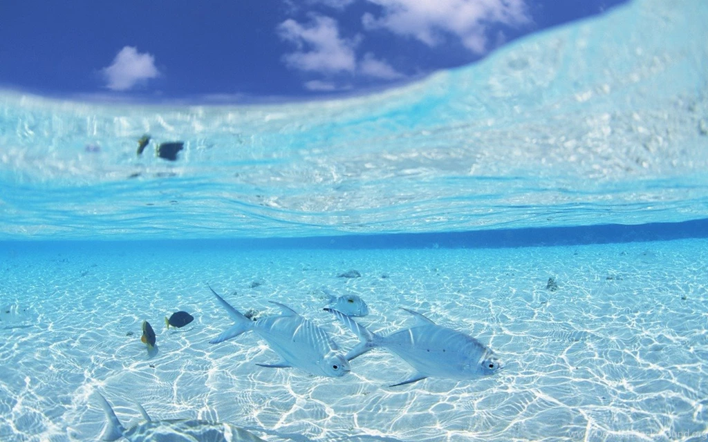Beach Wallpapers 4a23 Cool Backgrounds Wallnyoi.com