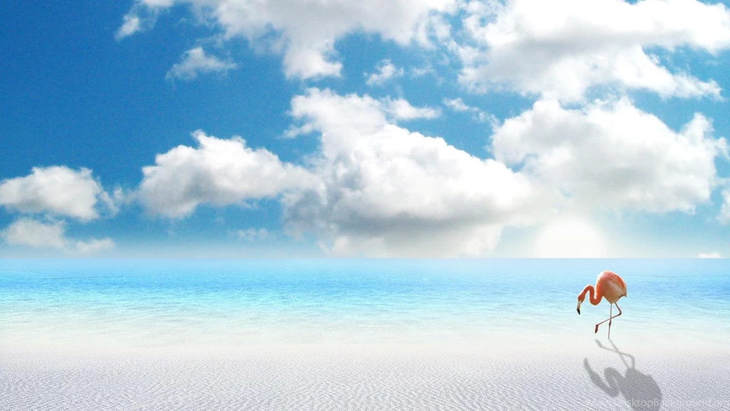 Wallpapers White Sand Miami Beach Wallpapers Desktop