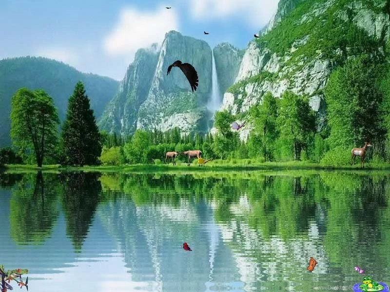Most Popular Screen Savers
