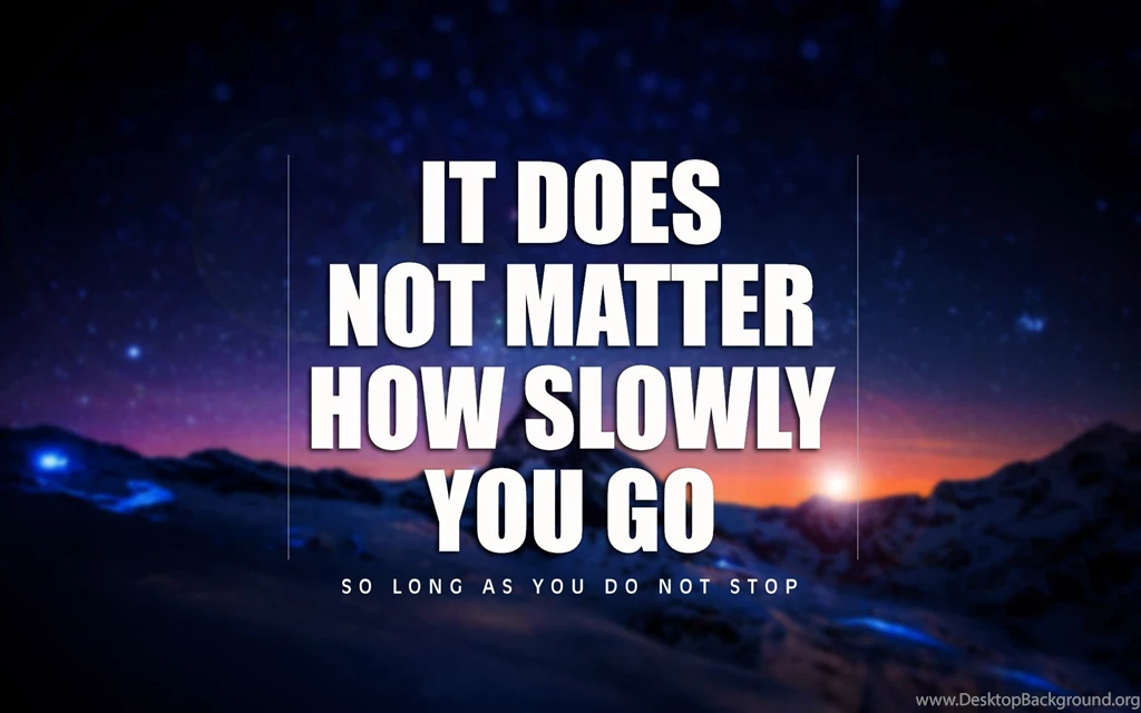 You Wouldn T Download A Bear Wallpapers » WallDevil   Best Free HD ...