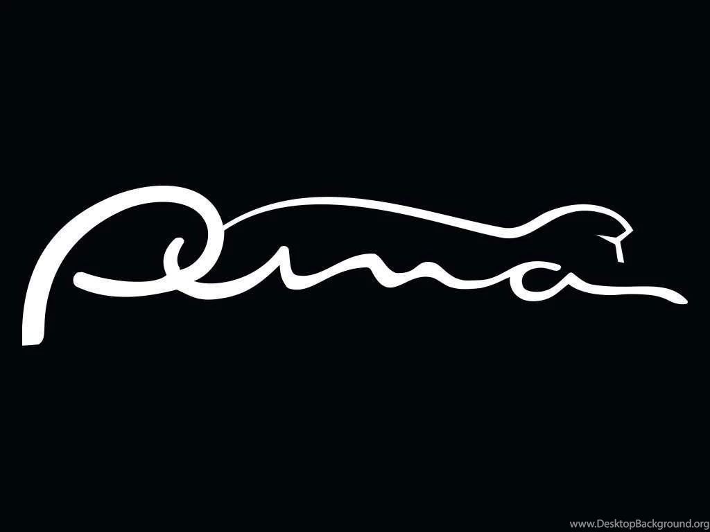 Puma Wallpapers