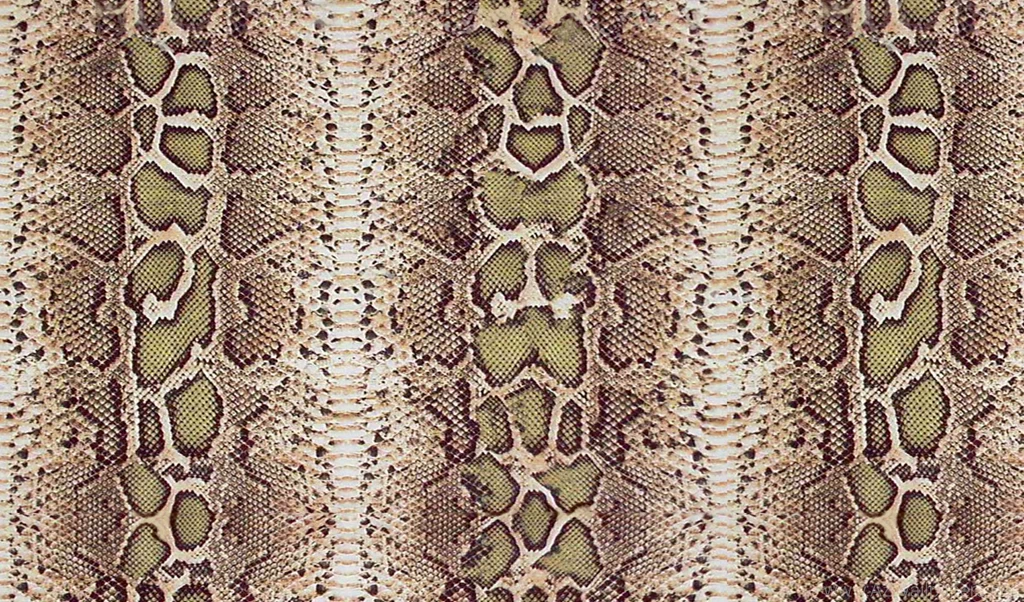 Wallpapers Snake Skin Free Snakeskin Crocodile And Alligator ...