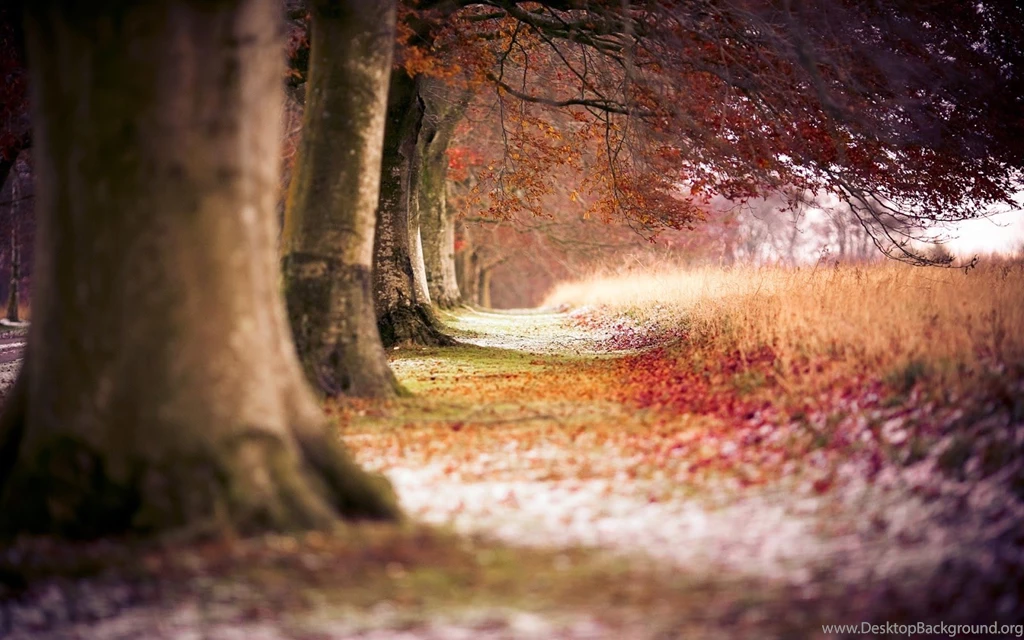 Awesome Nature Desktop Wallpapers