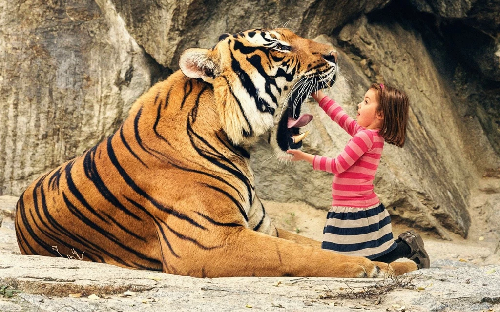 Tiger Wallpapers Collection (42+)