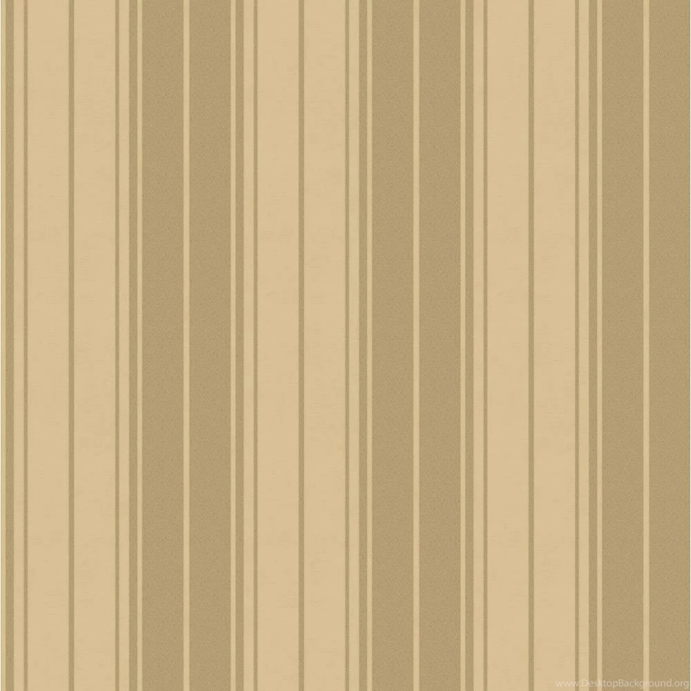 Wallpapers Strip   Wallpapers Zone