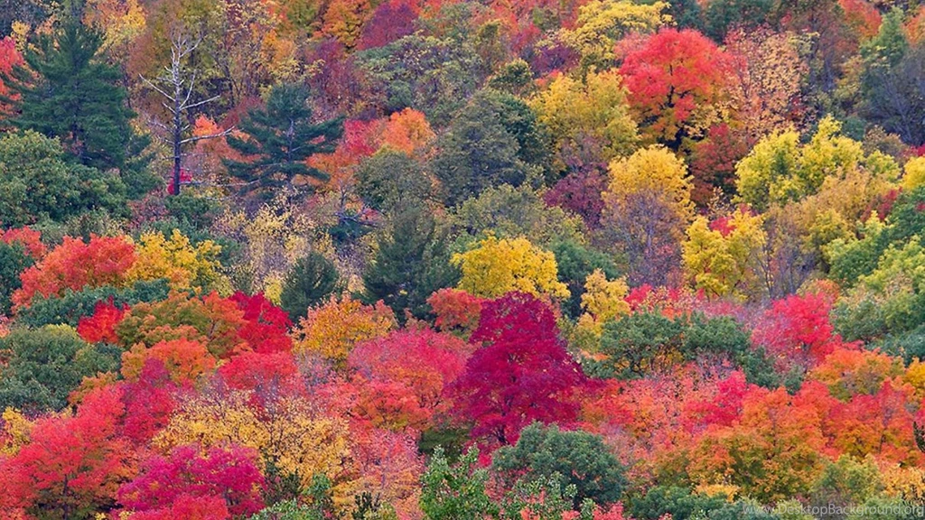 Indian Summer — Crafthubs