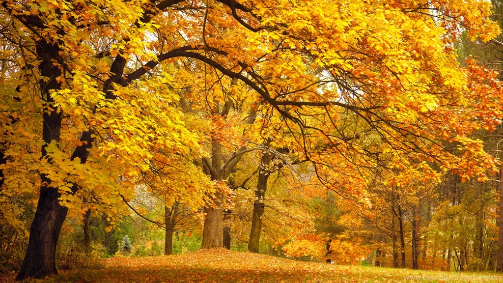 Download Desktop Wallpapers Indian Summer