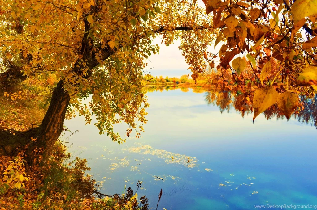 Indian Summer Wallpapers >> Backgrounds With Quality HD