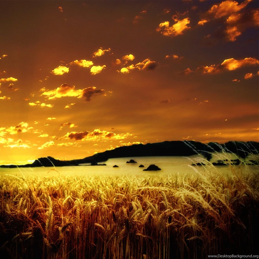 Wallpapers Indian Summer Indian Summer Free Desktop Wallpapers