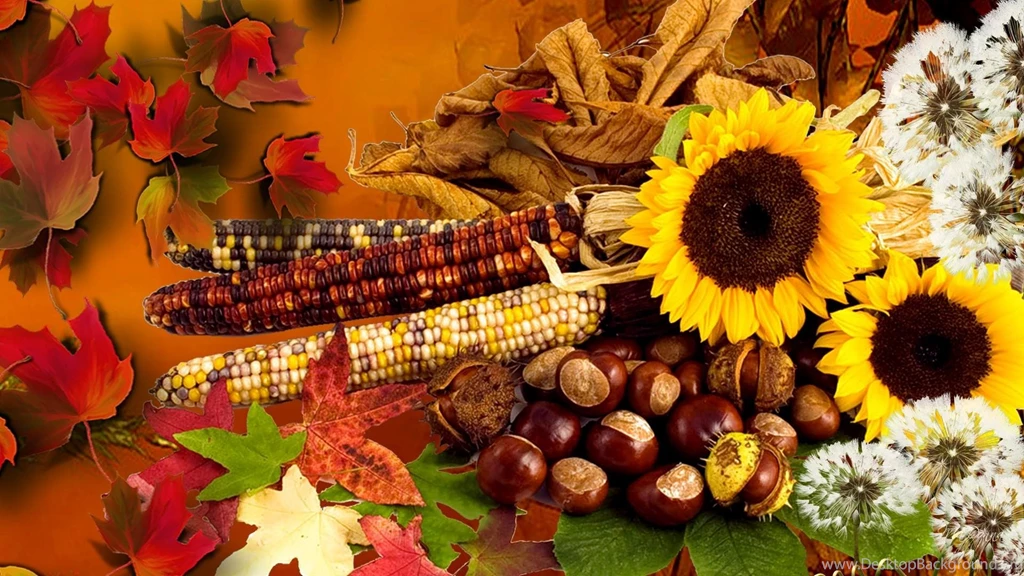 Indian Summer Wallpapers >> Backgrounds With Quality HD