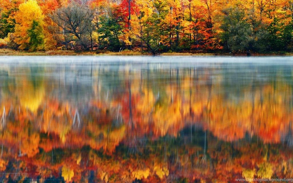 Morning Nature Usa Lake New Hampshire Reflection Autumn Fog ...