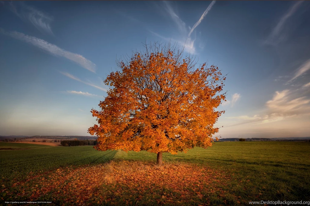 537336_indian_summer_babe_leto_5634x3754_www.Gde Fon.com.jpg