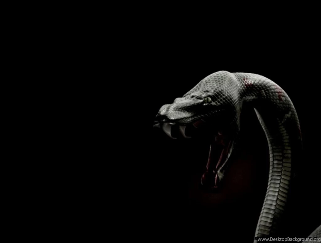 Black Mamba Iphone Wallpapers