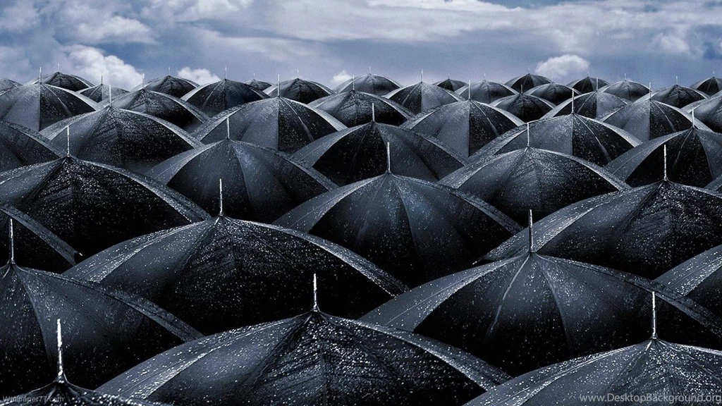 Black Umbrellas, 1280x720 Pixels : Wallpapers Tagged Miscellaneous ...