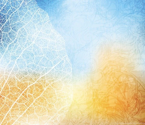 The Gorgeous Silhouette Backgrounds – Vector