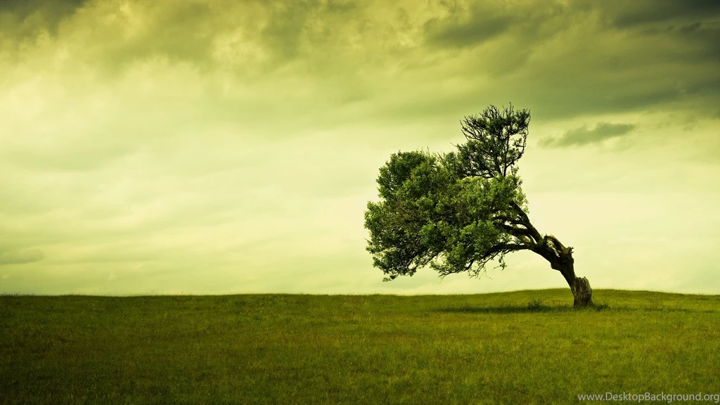 Miscellaneous, Wallpapers, Clouds, Photography, Images (