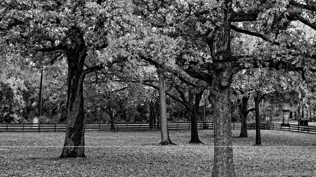 Wallpapers Of Miscellaneous, Free Wallpapers Of Miscellaneous, HD ...