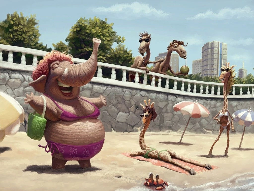 Desktop Wallpapers · Gallery · Humor · Beach Funny Wallpapers ...